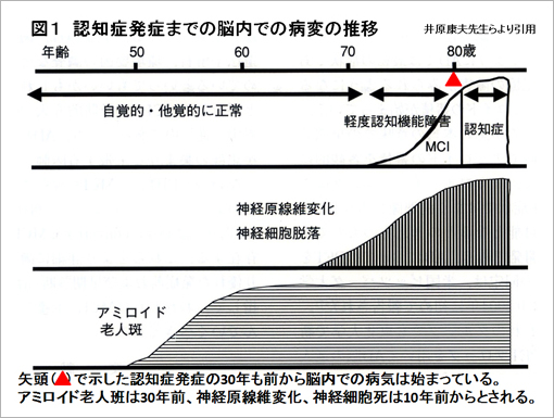 図1