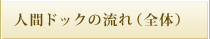 人間ドックの流れ（全体）