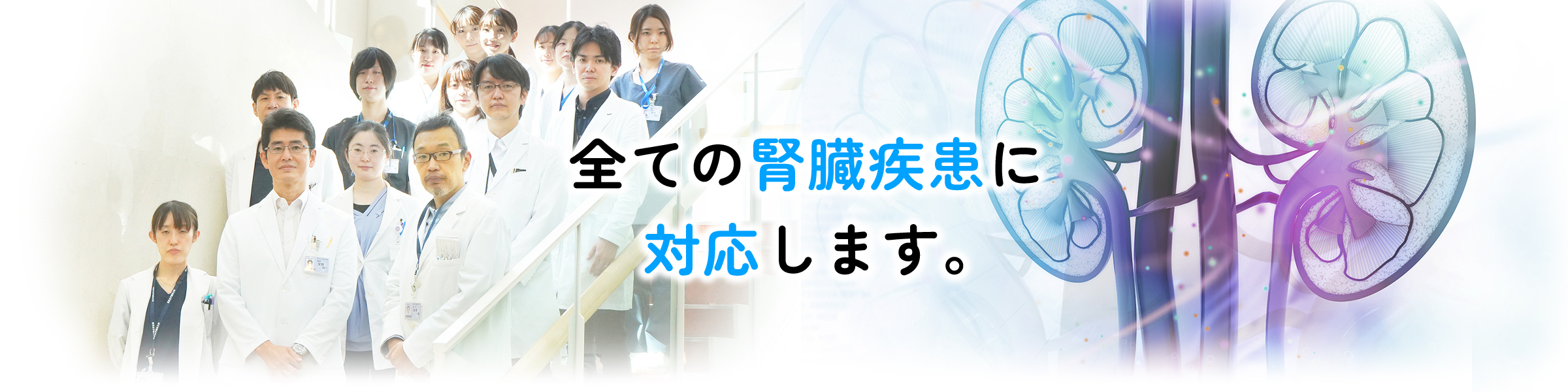 東京女子医科大学病院　腎臓内科