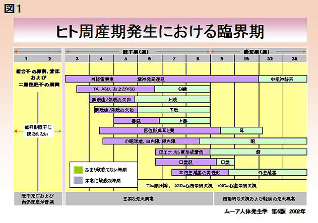 妊娠 分かる 時期