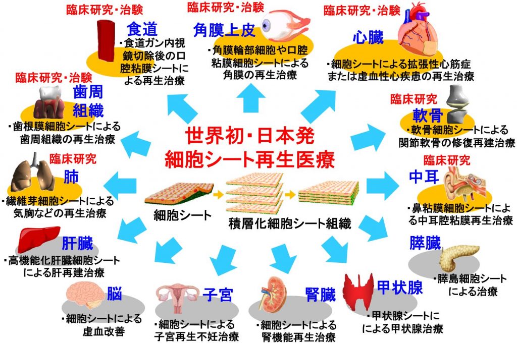 再生 医療