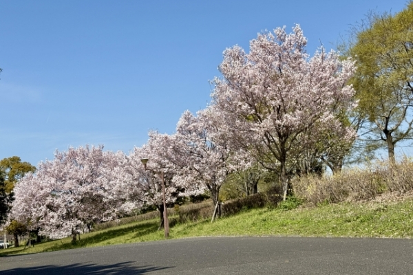 舎人公園