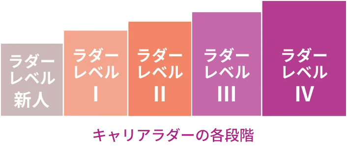 表:キャリアラダーの各段階:キャリアラダー新人（基本的な看護手順に従い必要に応じ助言を得て看護を実践する）/ラダーレベルⅠ（標準的な看護計画に基づき、自立して看護を実践する）/ラダーレベルⅡ（ケアの受け手に合う個別の看護を実践する）/ラダーレベルⅢ（幅広い視野で予測的判断を持ち看護を実践する）/ラダーレベルⅣ（より複雑な状況においてケアの受け手にとっての最適な手段を選択しQOLを高めるための看護を実践する）