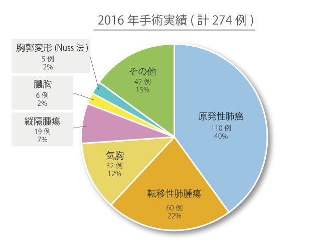 手術実績2016年