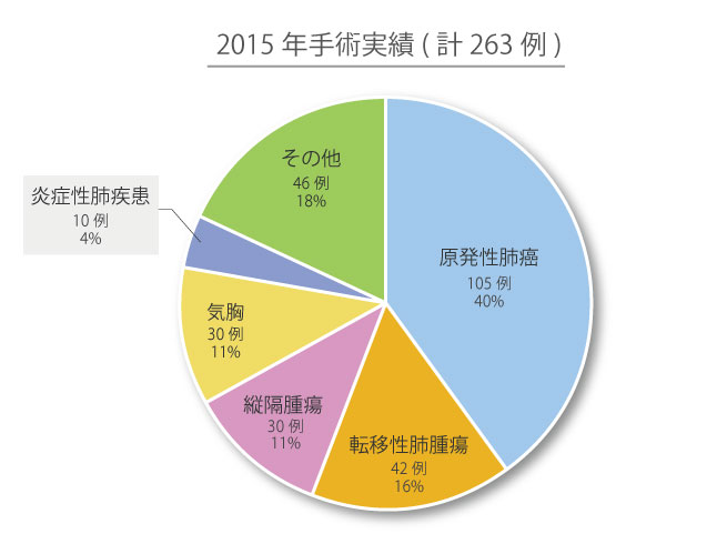 手術実績2015年