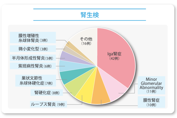 当科における腎生検疾患の内訳 (2011年, 全120例)