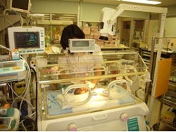 nicu1.jpg