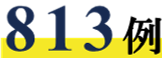 813例