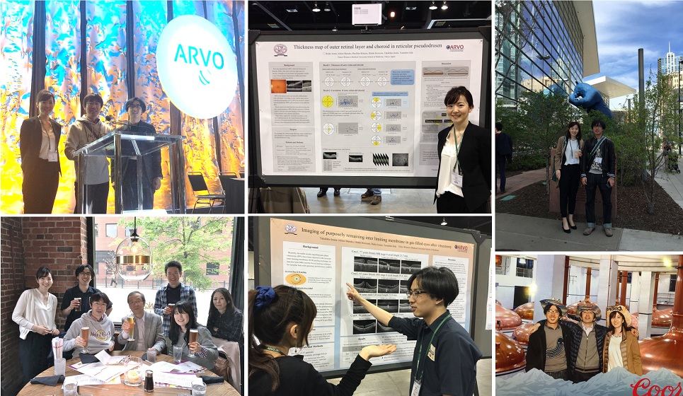 The Association for Research in Vision and Ophthalmology（ARVO）