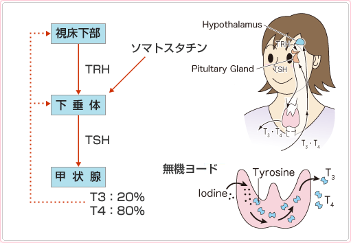 過剰治療のリスク
