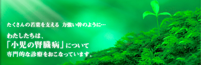 たくさんの若葉を支える力強い幹のように…　わたしたちは、「小児期の腎臓病」について専門的な診療をおこなっています