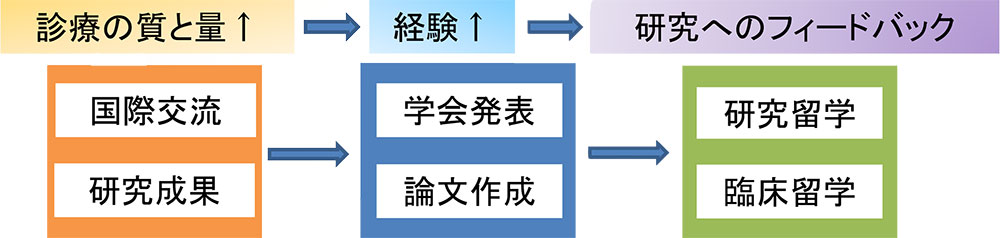 研究論文・臨床論文・症例報告・学会発表（国内・海外）