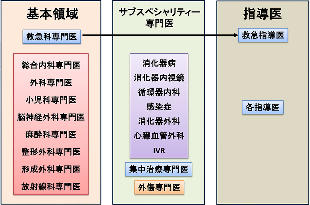 多様なサブスペシャリティーの選択