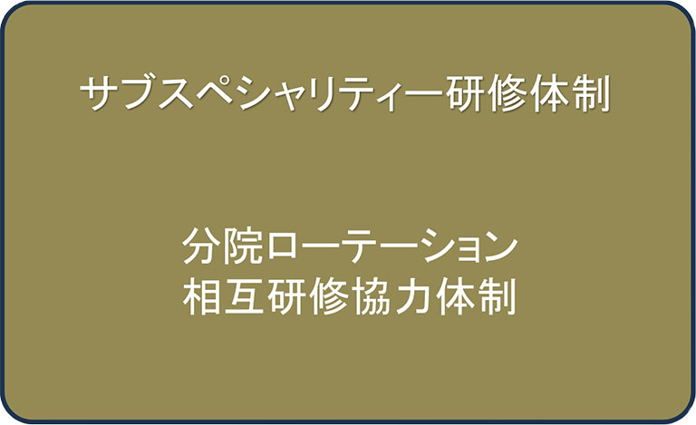サブスペシャリティー研修体制