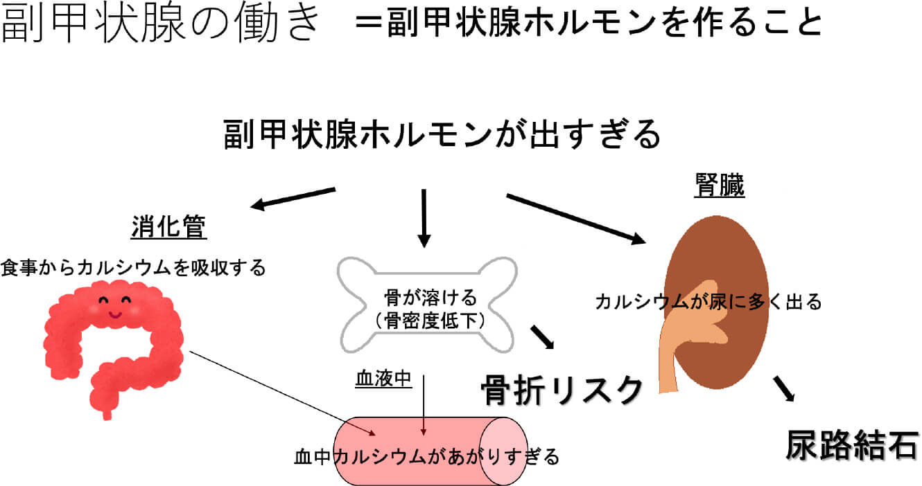腰痛に関して医師の診察を受ける必要があるのはどのような場合ですか?