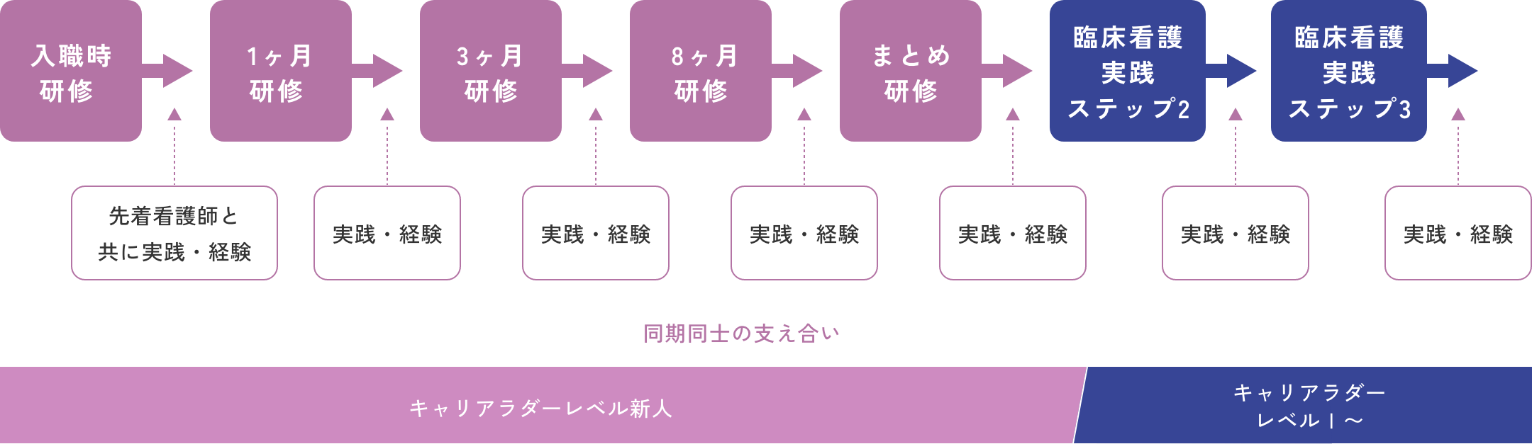 臨床看護実践ステップ1:新人看護職員研修