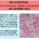 肺の血管性病変、特にsolitary pulmonary capillary hemangiomaなどの肺の血管腫の研究