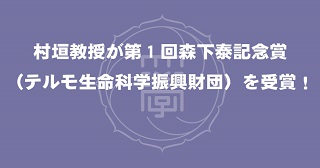 受賞報告先端生命　村垣教授