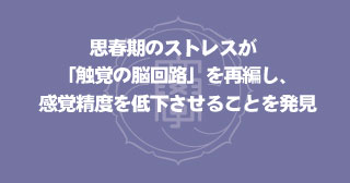 【研究論文】生理学（神経生理学分野）