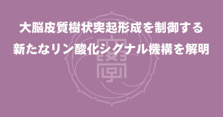 【プレスリリース】生化学