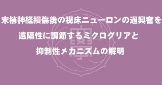 【プレスリリース】生理学